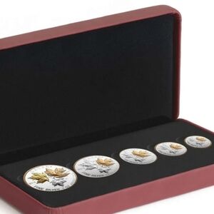 2016 RCM A Historic Reign - Pure Silver Maple Leaf Fractional Set